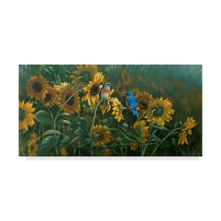 Michael Jackson 'Sunflowers Patch Birds' Canvas Art,10x19